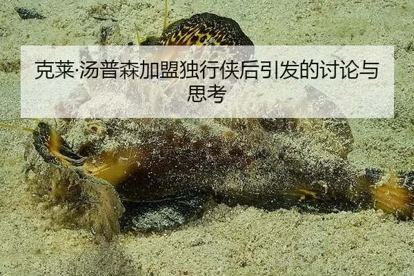克莱·汤普森加盟独行侠后引发的讨论与思考